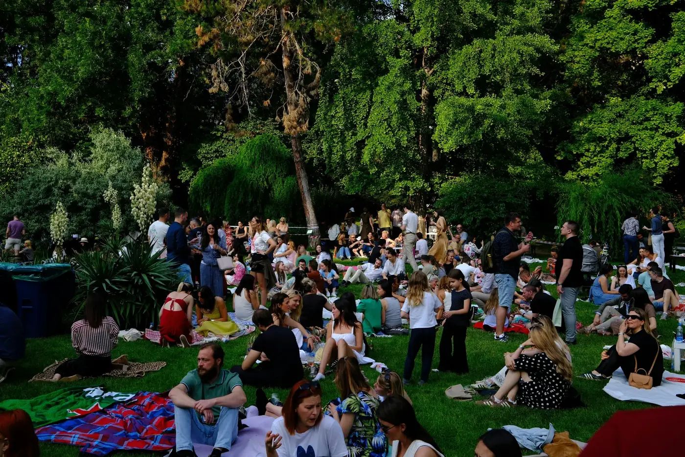 Guests filling The Gardens on a summer afternoon